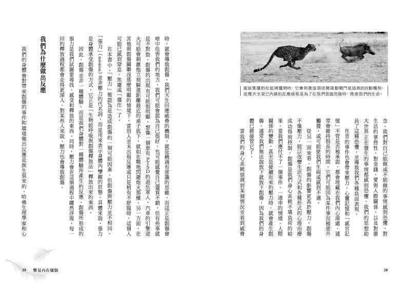 內頁 4