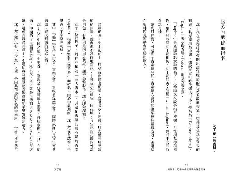 內頁 7