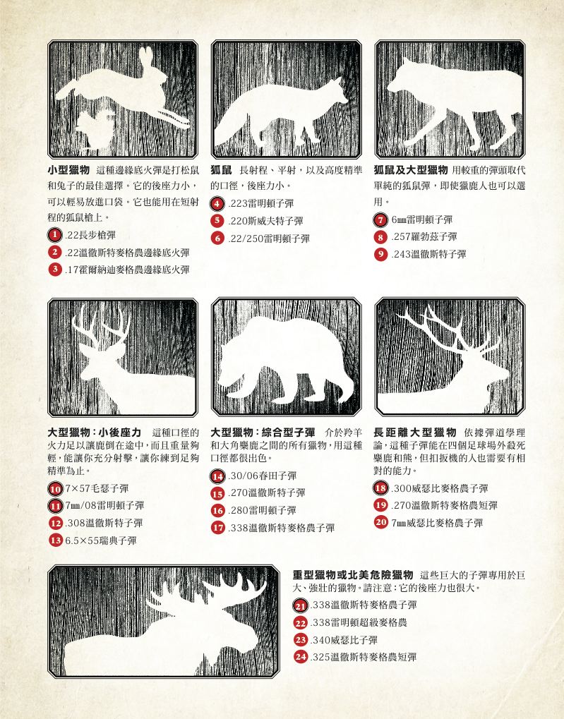 內頁 6