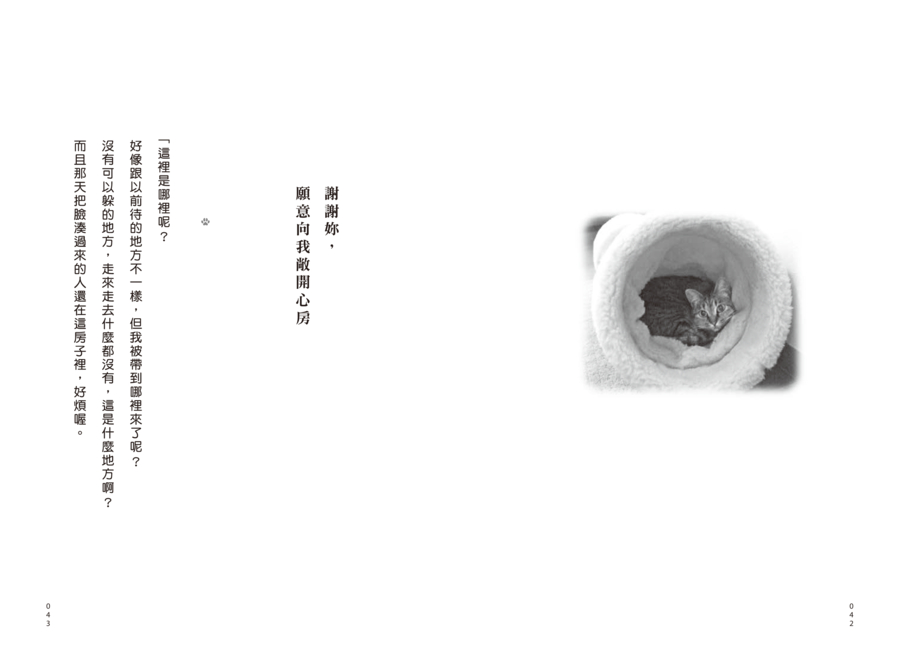 內頁 6