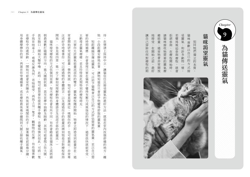 內頁 5