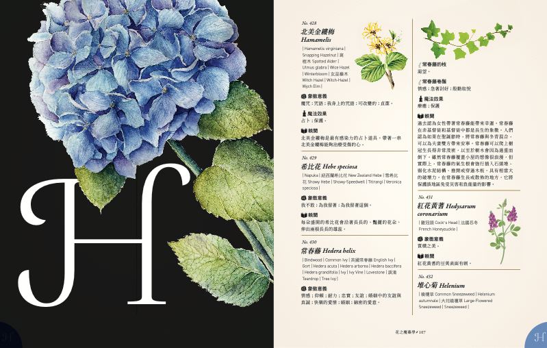 內頁 10