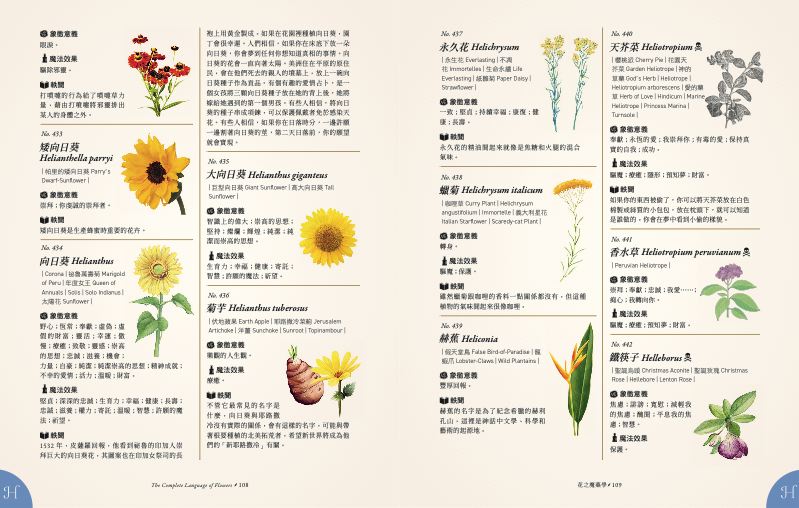 內頁 11