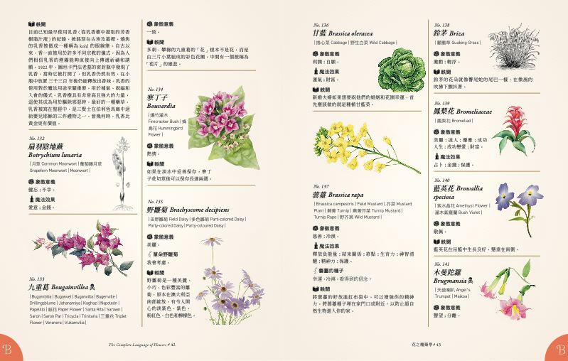 內頁 4