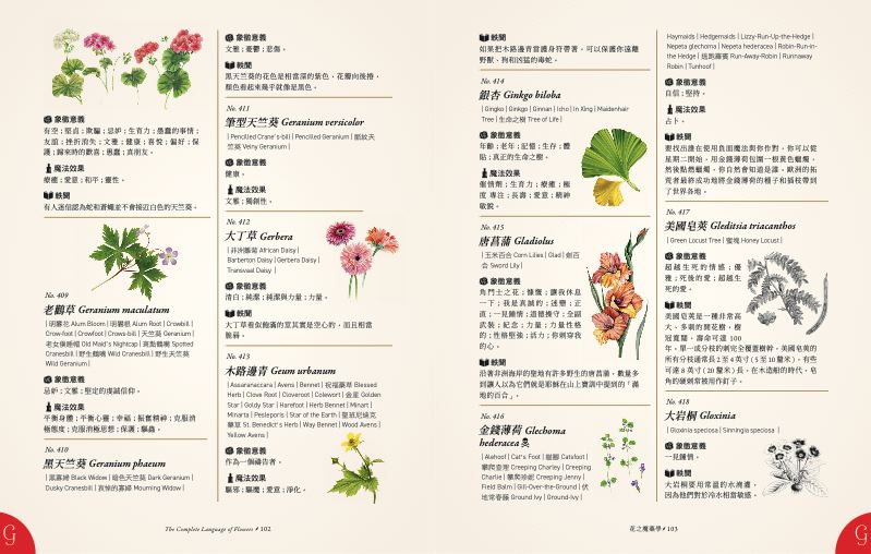 內頁 8