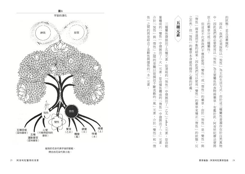 內頁 6
