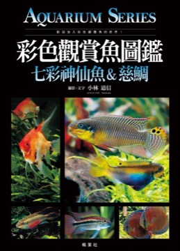 彩色觀賞魚圖鑑 七彩神仙魚&慈鯛