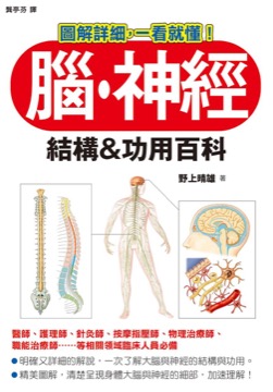 腦、神經 結構&功用百科